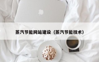 东阳蒸汽节能网站建设（蒸汽节能技术）